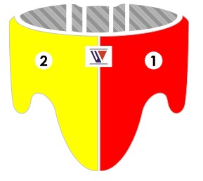 Winning Standard Cut Groin Protector – WJapan Boxing