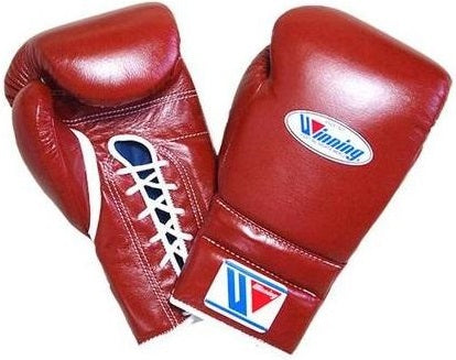 Winning Lace-up Boxing Gloves - Brown - WJapan Store