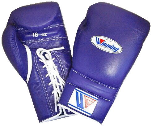 Winning Lace-up Boxing Gloves - Sky Blue