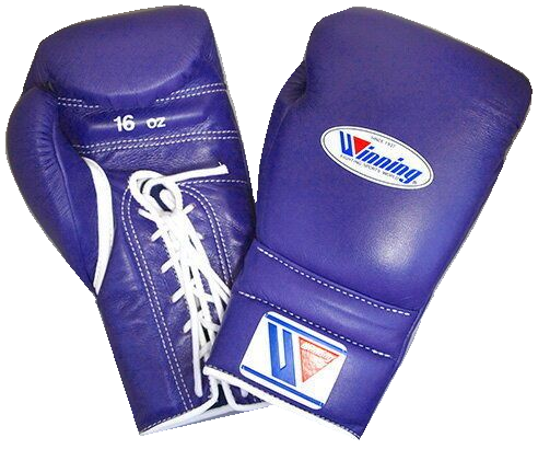 Winning Lace-up Boxing Gloves - Purple